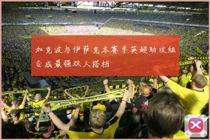 加克波与伊萨克本赛季英超助攻组合成最强双人搭档