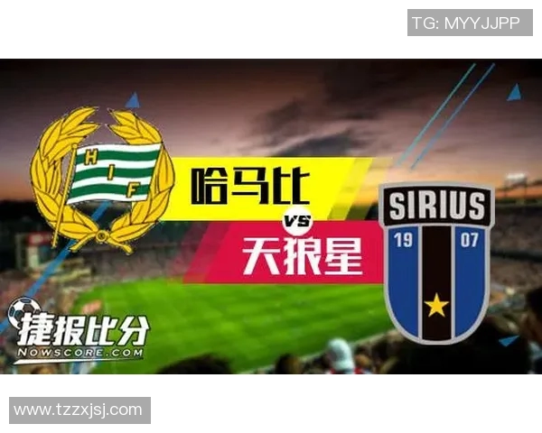 松兹瓦尔对阵哈马比精彩比赛直播全程回顾与分析